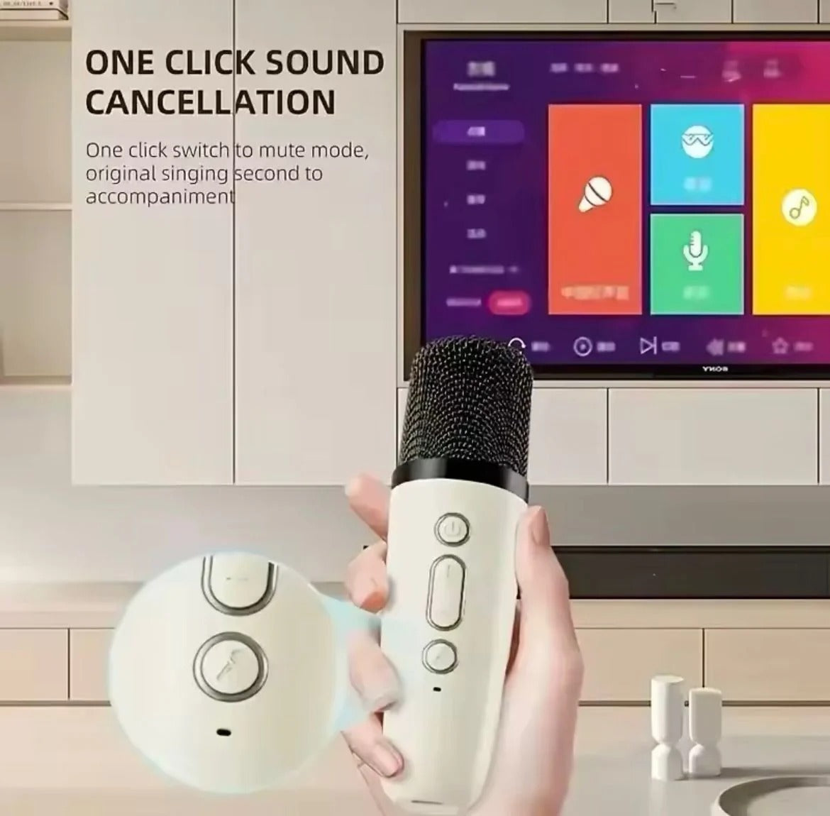 Karaoke Sound System